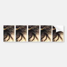 FIVE IN ONE'S. CUT TO SIZE FOR STANDARD E-CIGS!... BUMPER STICKER