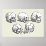 Five Skulls posters