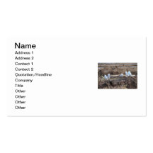 Five Snowy Owls Picture Business Card Templates