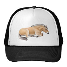 Fjord Horse at Rest Hat