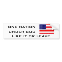 FLAG2, ONE NATION, UNDER GOD, LIKE IT OR LEAVE BUMPER STICKERS