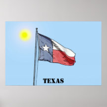 Flag 018b, Texas Print
