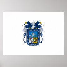 Flag of Aguascalientes Print