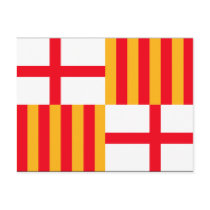 Flag of Barcelona Post Cards