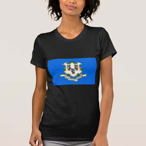 Flag of Connecticut T Shirt