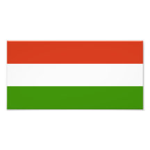 Flag of Hungary Photo Art