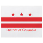 Flag of the District of Columbia Flyer