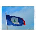 Flag of Warren County Tennessee Card