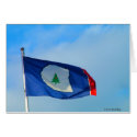 Flag of Warren County Tennessee cards