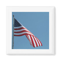 Flag!  Patriotic colours!