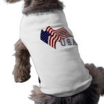 Flag USA