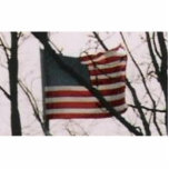 FLAG WAVING photo sculptures
