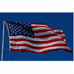 Flag with stars and stripes is flying high, USA photo sculptures