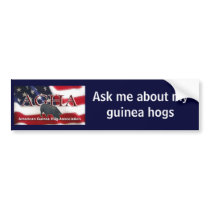 FlagBumperSticker-Navy Bumper Stickers