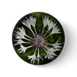 Flamboyant White Button