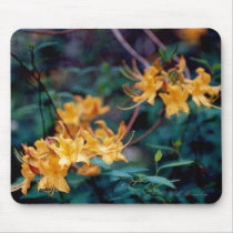 Flame Azalea Mousepad