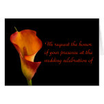 Flame Calla Lily cards