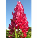 Flame Flower cutout magnet photo sculptures