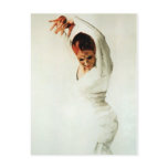 Flamenco Dancer postcards
