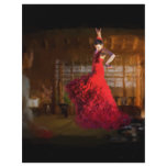 Flamenco fire lights a tea house in Tokyo, Japan flyers