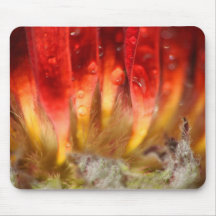 Flaming Flower Mousepad