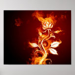"Flaming Flower" posters