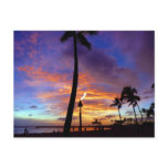 Flaming skies over Waikiki beach Post Card