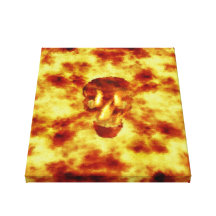 Flaming Skull Gallery Wrapped Canvas