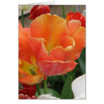 Flaming Spring Card