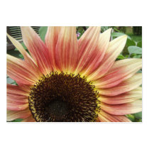 Flaming Sunflower ~ ATC Business Card Template