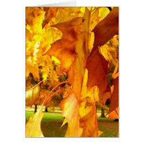Flaming Yellow Greeting Cards