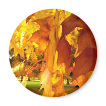 Flaming Yellow Magnets