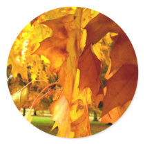 Flaming Yellow Round Stickers