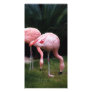 Flamingo - A set of Flamingos Personalized Photo Card