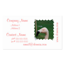 Flamingo Bird Business Cards