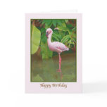 Flamingo Birthday Card