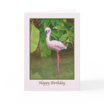 Flamingo Birthday Card