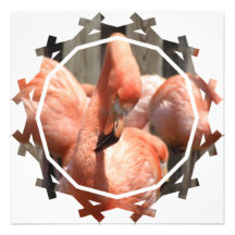 Flamingo Design Invitation