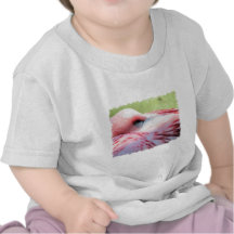 Flamingo Feathers Baby T-Shirt