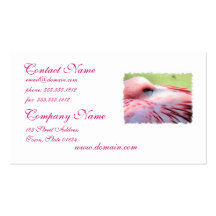 Flamingo Feathers Business Cards