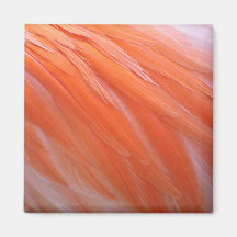Flamingo Feathers Fridge Magnets