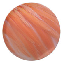 Flamingo Feathers Party Plate