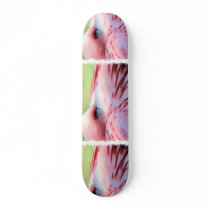 Flamingo Feathers Skateboard
