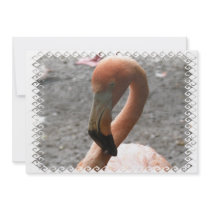 Flamingo Invitation