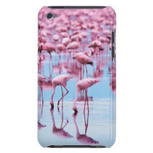 Flamingo iPod Touch Cover