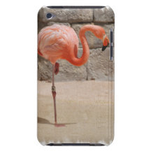 Flamingo iTouch Case iPod Touch Covers