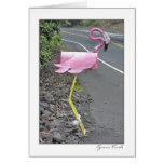 Flamingo Mailbox Greeting Cards