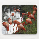 Flamingo Mouse Pad