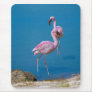 Flamingo Pair Mousepad