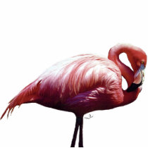 Flamingo Photo Sculpture